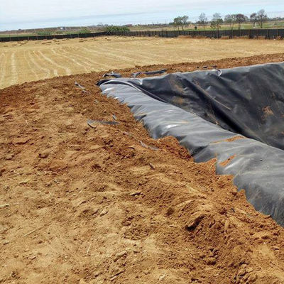 Geomembrana de HDPE resistente a lágrimas de 1 mm e 2 mm para revestimento de lago de peixes resistente a ácidos e álcalis