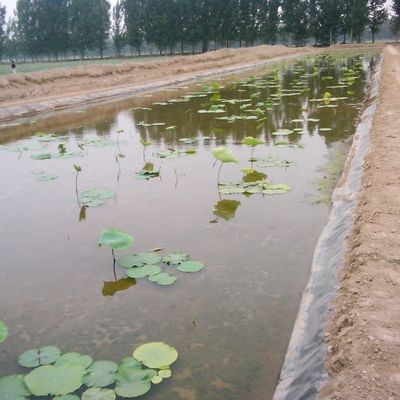 Geomembrana dupla de HDPE lisa à prova d'água para lagoas e aterros de peixes lisas