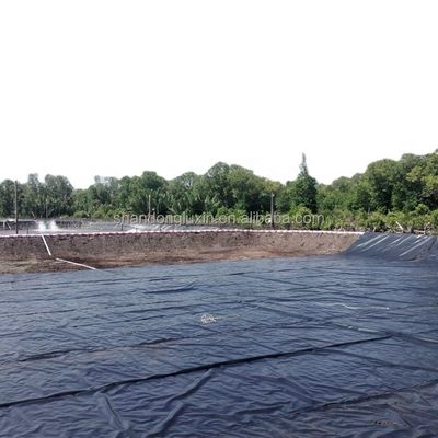 Geomembrana de superfície dupla lisa 1 mm 2 mm para aterros sanitários