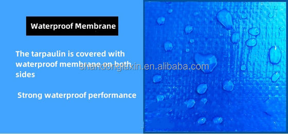 240g Tente de telha impermeável Pe azul Tela de telha Hdpe em densidade 6*6-16*16 Impermeável