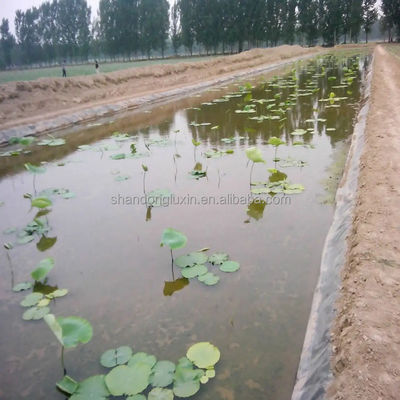 0.75mm HDPE Pond Liners e 1.0mm Fish Tank Geomembrane para eficiência de criação de camarão