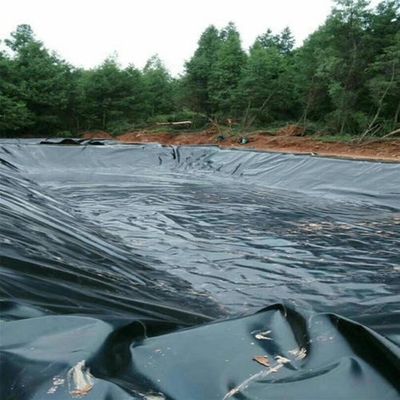 Garantir tanques de armazenamento de água à prova de vazamento com superfície dupla lisa de geomembrana de HDPE