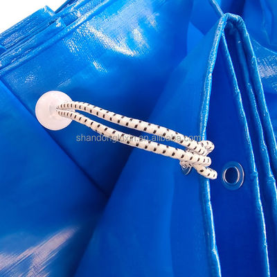 Tenda de lonas PE à prova de chuva à prova de umidade à prova de poeira com 220 gsm azul resistente a UV