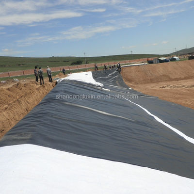 2 mm Geomembrana de HDPE preto impermeável para lago de peixes de camarão para edifícios de aquicultura