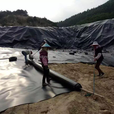 2 mm Geomembrana de HDPE preto impermeável para lago de peixes de camarão para edifícios de aquicultura