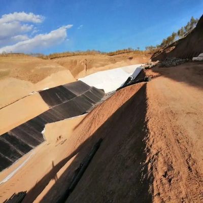 Geomembrana de HDPE 1m-8m Largura Impermeável Barragem Poço Liner Densidade 0,940g/cm3