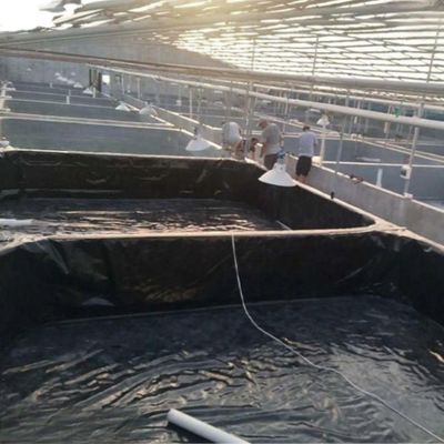 ISO9001 Geomembrana de HDPE padrão Prevenir água e fugas com venda direta