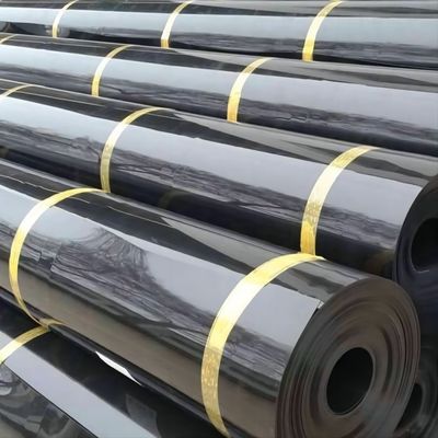 ISO9001 Geomembrana de HDPE padrão Prevenir água e fugas com venda direta