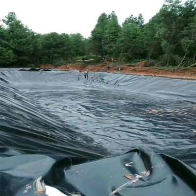 1.0mm HDPE Geomembrane Liner para Geomembranas no Depósito de Resíduos da Barragem de Tanques de Lago Artificial