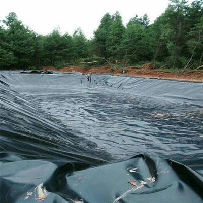 Geomembranas para estanque de peixe para tanques de armazenamento de água comprimento 50-200m padrão ASTM GRI-GM13