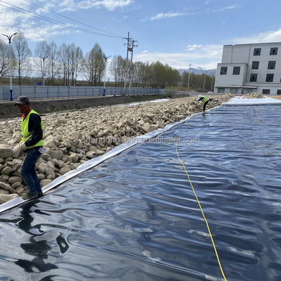 Geomembranas de HDPE preto A proteção definitiva para a aquicultura