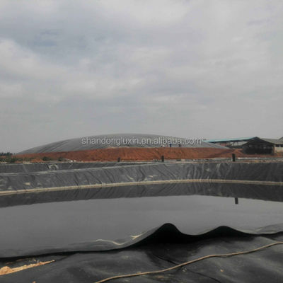 Geomembranas de HDPE preto A proteção definitiva para a aquicultura