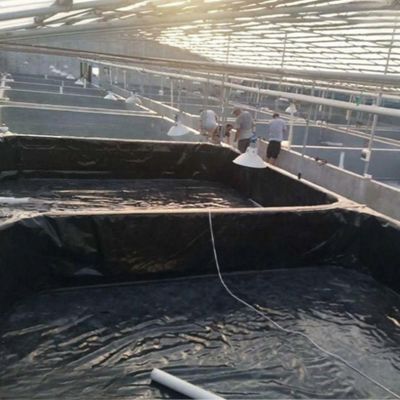 Revestimento de lago de aquicultura de geomembrana de dupla textura HDPE com capacidade de solução de projetos