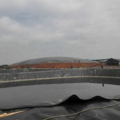 Apoio Técnico em linha 2 mm HDPE Geomembrane Pond Liner para Peixe e aterro sanitário