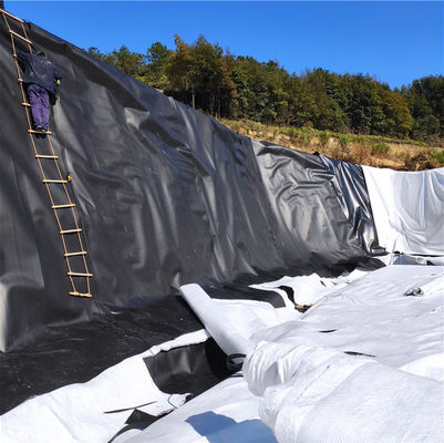 Geomembrana dupla lisa exterior para revestimento de lago de peixes e aterros sanitários