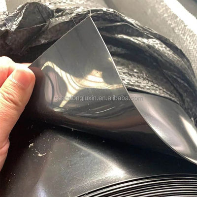 Reprodução de camarão de Singapura Geomembrana HDPE impermeável 0,3 mm com inspeção no local