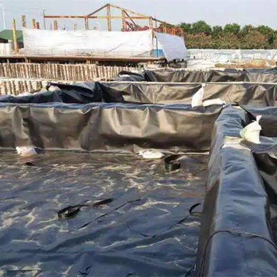 Geomembrana de HDPE à prova d'água para jardins de telhado ou lagos de camarão