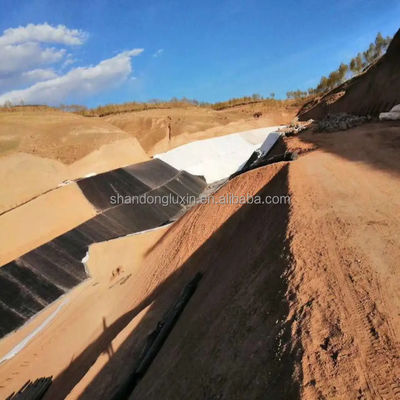 ASTM GRI-GM13 Geomembrana de HDPE de 1 mm padrão para aplicações em lagoas de peixes e aterros sanitários
