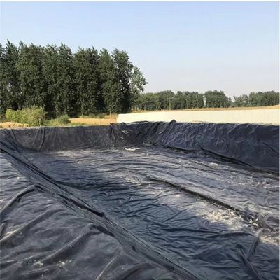 Revestimento de lago de peixe com geomembrana duplo liso de HDPE 0,3 mm 0,8 mm para necessidades de aquicultura