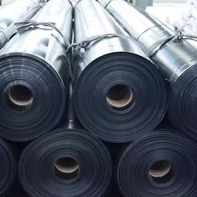 Revestimento de lago de peixe com geomembrana duplo liso de HDPE 0,3 mm 0,8 mm para necessidades de aquicultura