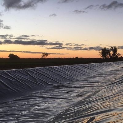 1.5mm HDPE Geomembrane Fish Pond Liner para Depósitos Diretamente dos Fabricantes