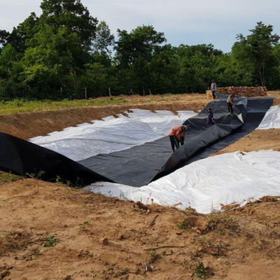 EPDM EVA HDPE Liner de lago Folha de plástico para peixe camarão Piscina de criação de lago barragem