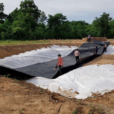 Geomembrana de dupla textura HDPE 1 mm para revestimento de barragem de plástico impermeável revestimento de lago de peixe