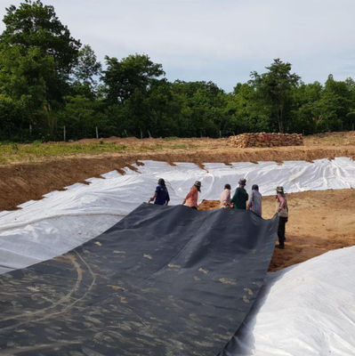 Geomembrana de dupla textura HDPE 1 mm para revestimento de barragem de plástico impermeável revestimento de lago de peixe