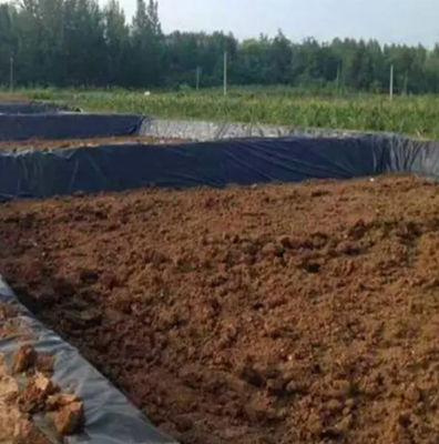 Geomembrana de dupla textura HDPE 1 mm para revestimento de barragem de plástico impermeável revestimento de lago de peixe