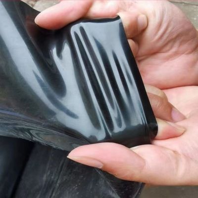 1-6m Largura HDPE Geomembrana lisa para peixe lago Liner Retorno e substituição oferecida