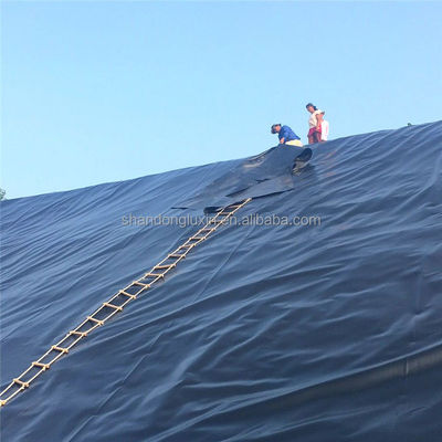 Geomembrana lisa pré-fabricada Geomembrana texturizada de 2 mm para o projeto impermeável de HDPE