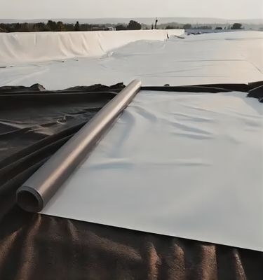 Geomembrana lisa pré-fabricada Geomembrana texturizada de 2 mm para o projeto impermeável de HDPE