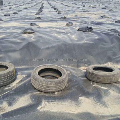 ASTM GRI-GM13 Padrão HDPE Geomembrana Limpa Piscina de Peixes para Tanques de Armazenamento de Água