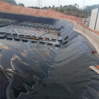 Espessura Geomembrana de HDPE de 0,2 mm a 2,8 mm para revestimento de lagoa de peixes e revestimento de barragem em rejeitos de lagoa