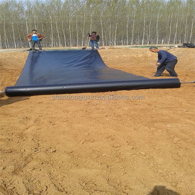 Espessura Geomembrana de HDPE de 0,2 mm a 2,8 mm para revestimento de lagoa de peixes e revestimento de barragem em rejeitos de lagoa