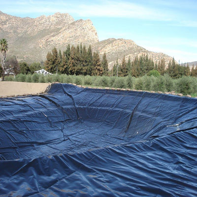 Geomembranas PVC LDPE HDPE Fish Pond Liner Dam Liner comprimento 50-200m espessura 0,3mm-2,8mm