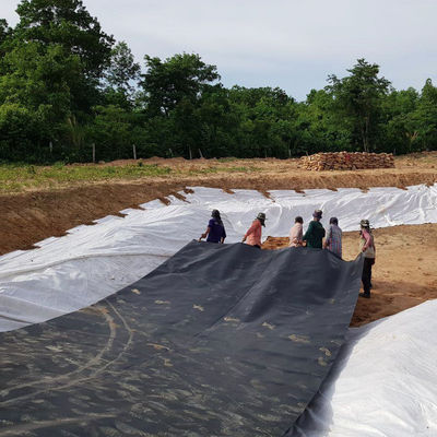 Dupla superfície lisa 0,5 mm Liner da lagoa da fazenda de peixes com geomembrana impermeável