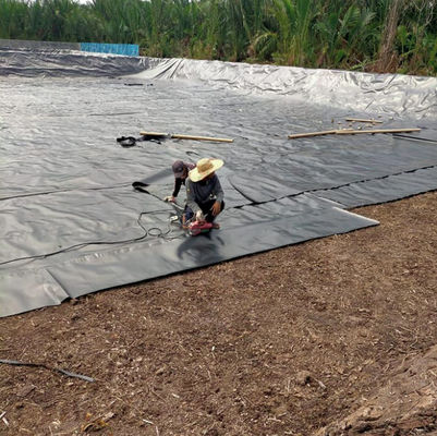 1m-8m Largura Duplo liso preto HDPE Liner de lago Para peixe camarão Piscina de criação