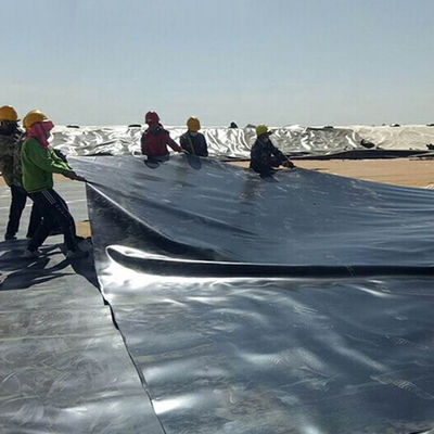 1m-8m Largura Duplo liso preto HDPE Liner de lago Para peixe camarão Piscina de criação