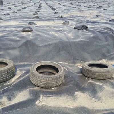 1.5mm Geomembrana de HDPE preto liso para ambiente externo Liner de lago de peixe à prova d'água