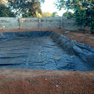 Geomembrana lisa de HDPE para aquicultura Liner de lago de peixe em 0,3 mm 0,5 mm 0,8 mm espessura