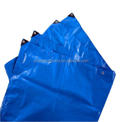 Melhores telhas de tecido PE com densidade 6*6-16*16 e material tecido durável