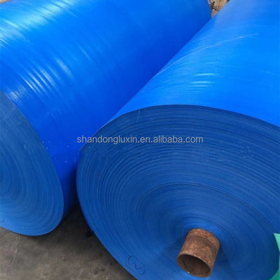 Retardante de incêndio Tarpaulin azul PE Tarpaulino de faixa leve para cobertura de resistência industrial