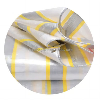 100% Material Folha de lonas de plástico revestida de PE duplo azul branco preto vermelho