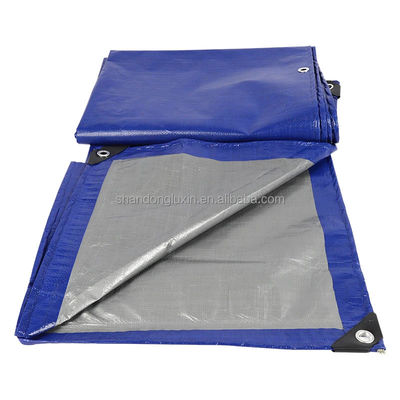 Tela PE de peso leve azul-prata com densidade de pálpebras 6*6-16*16 no mercado do Vietname