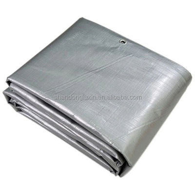 Tela PE de peso leve azul-prata com densidade de pálpebras 6*6-16*16 no mercado do Vietname