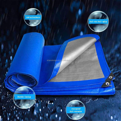 Tela PE de peso leve azul-prata com densidade de pálpebras 6*6-16*16 no mercado do Vietname