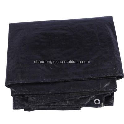 Água Resistente Teto Plain Cover PE lonas Perfeito para qualquer clima