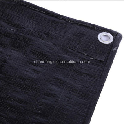 Água Resistente Teto Plain Cover PE lonas Perfeito para qualquer clima