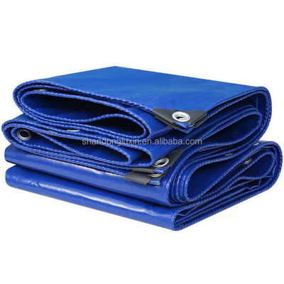 Folhas de lonas de madeira azul prateada PE, resistentes a rasgos, para proteção exterior